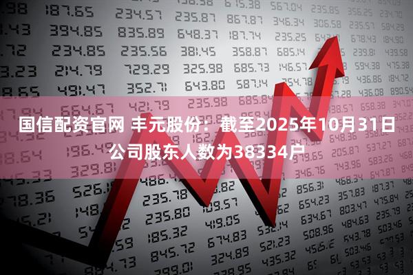 国信配资官网 丰元股份：截至2025年10月31日公司股东人数为38334户
