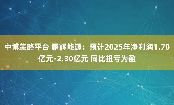 中博策略平台 鹏辉能源：预计2025年净利润1.70亿元-2.30亿元 同比扭亏为盈