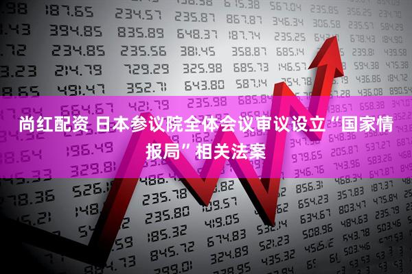 尚红配资 日本参议院全体会议审议设立“国家情报局”相关法案